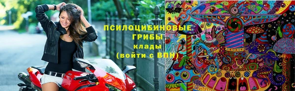бошки Баксан