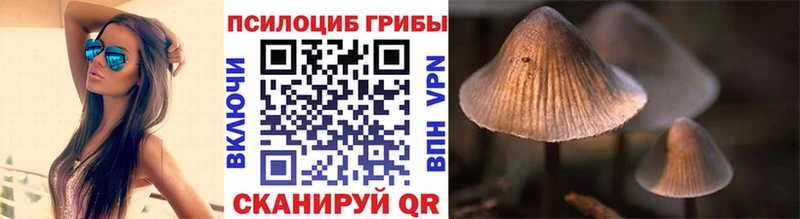 Галлюциногенные грибы мицелий  где можно купить   Буйнакск 